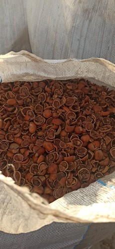 Stufa pellet gusci di - pellet,